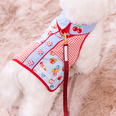 Glitter Pooch Harness ชุดรัดอก สายจูง เสื้อผ้า สุนัข, หมา, แมว, สัตว์เลี้ยง พร้อม สายจูง รุ่น Cherrylou