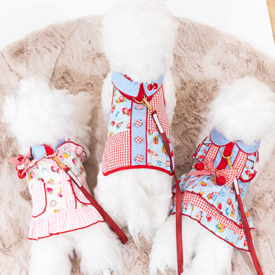 Glitter Pooch Harness ชุดรัดอก สายจูง เสื้อผ้า สุนัข, หมา, แมว, สัตว์เลี้ยง พร้อม สายจูง รุ่น Cherrylyn