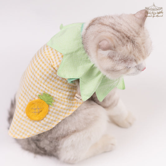 Animal-Go-Round เสื้อผ้าเครื่องแต่งกาย สัตว์เลี้ยง, หมา, แมว, สุนัข รุ่น Merry Pineapple