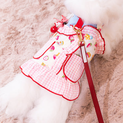 Glitter Pooch Harness ชุดรัดอก สายจูง เสื้อผ้า สุนัข, หมา, แมว, สัตว์เลี้ยง พร้อม สายจูง รุ่น Cherryrose'