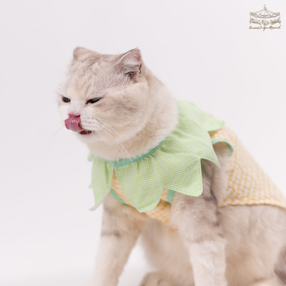 Animal-Go-Round เสื้อผ้าเครื่องแต่งกาย สัตว์เลี้ยง, หมา, แมว, สุนัข รุ่น Merry Pineapple