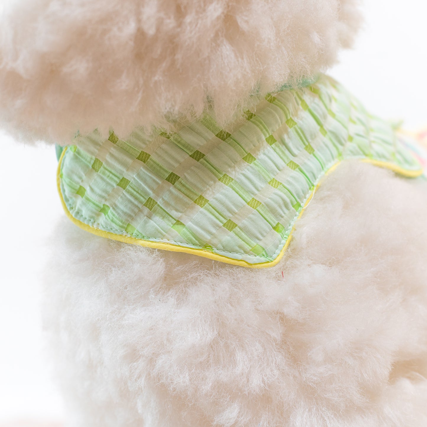 Glitter Pooch Harness ชุดรัดอก สายจูง เสื้อผ้า สุนัข, หมา, แมว, สัตว์เลี้ยง พร้อม สายจูง รุ่น Bello Bubbly