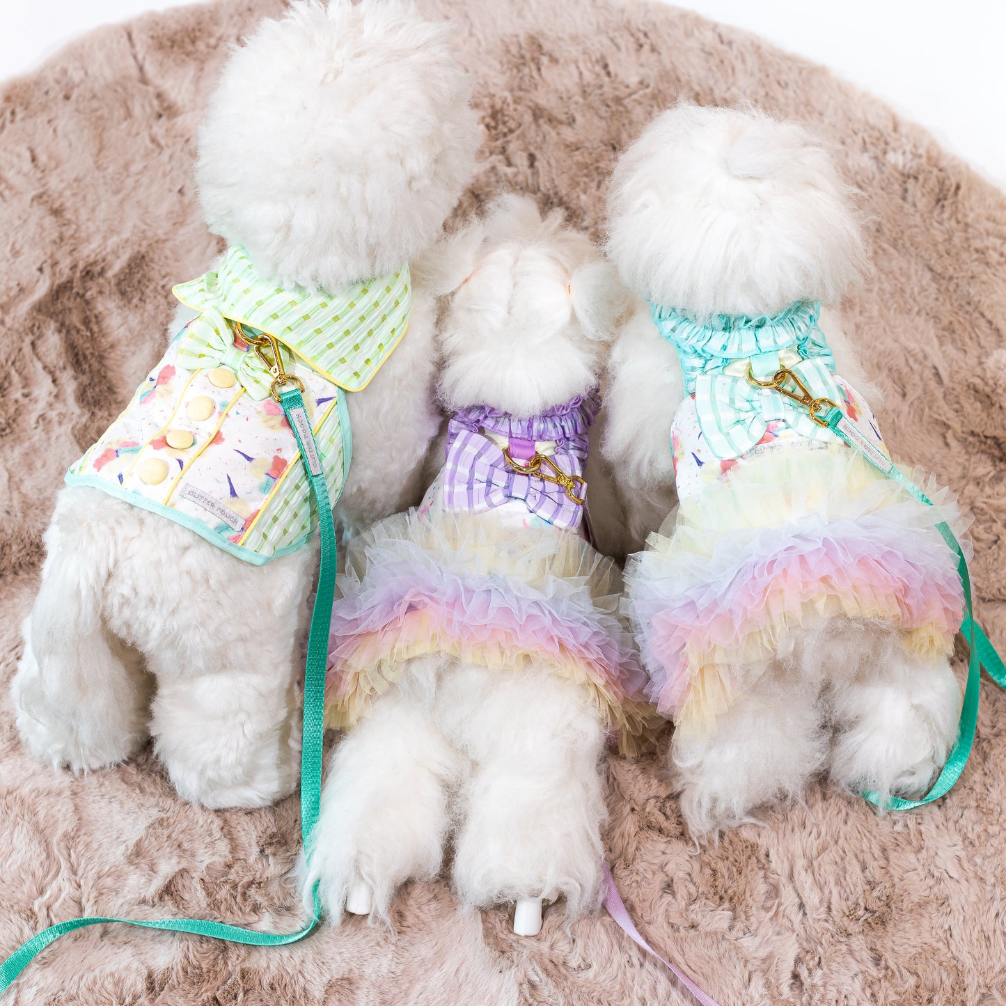 Glitter Pooch Harness ชุดรัดอก สายจูง เสื้อผ้า สุนัข, หมา, แมว, สัตว์เลี้ยง พร้อม สายจูง รุ่น Bello Bubbly