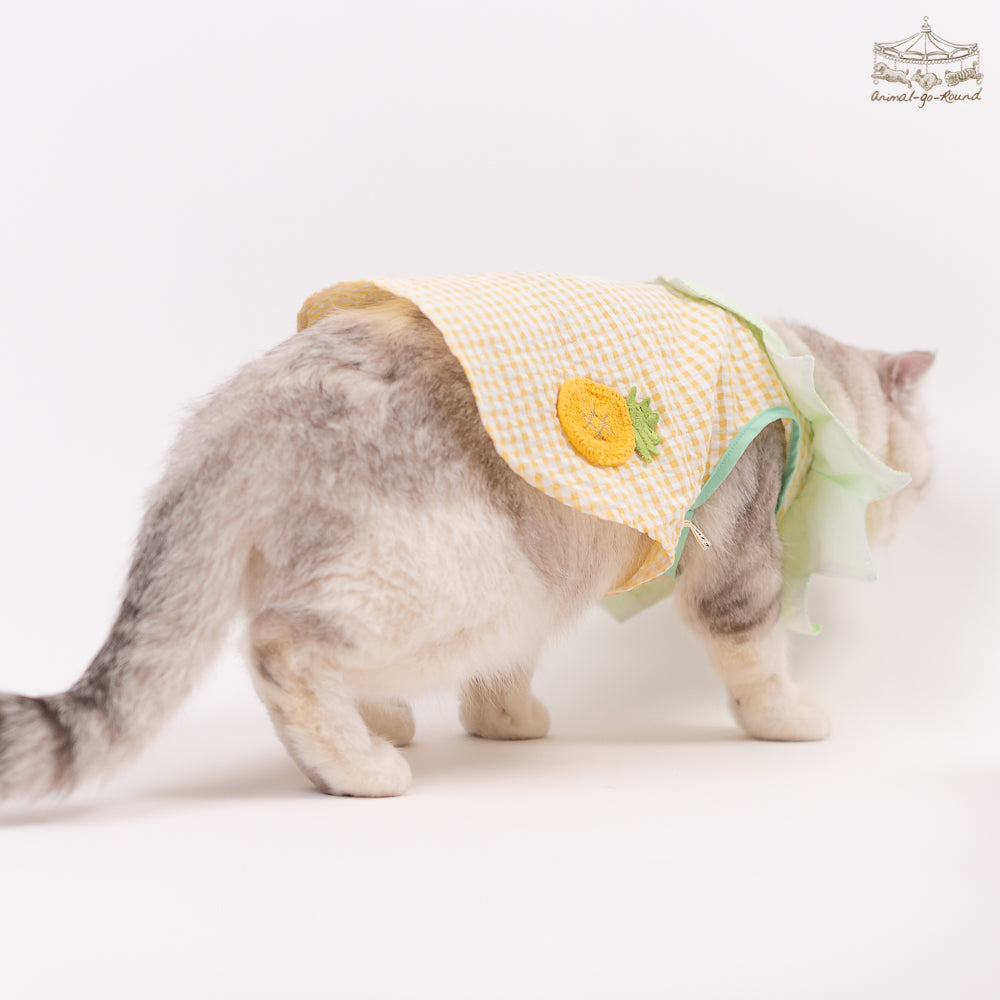 Animal-Go-Round เสื้อผ้าเครื่องแต่งกาย สัตว์เลี้ยง, หมา, แมว, สุนัข รุ่น Merry Pineapple