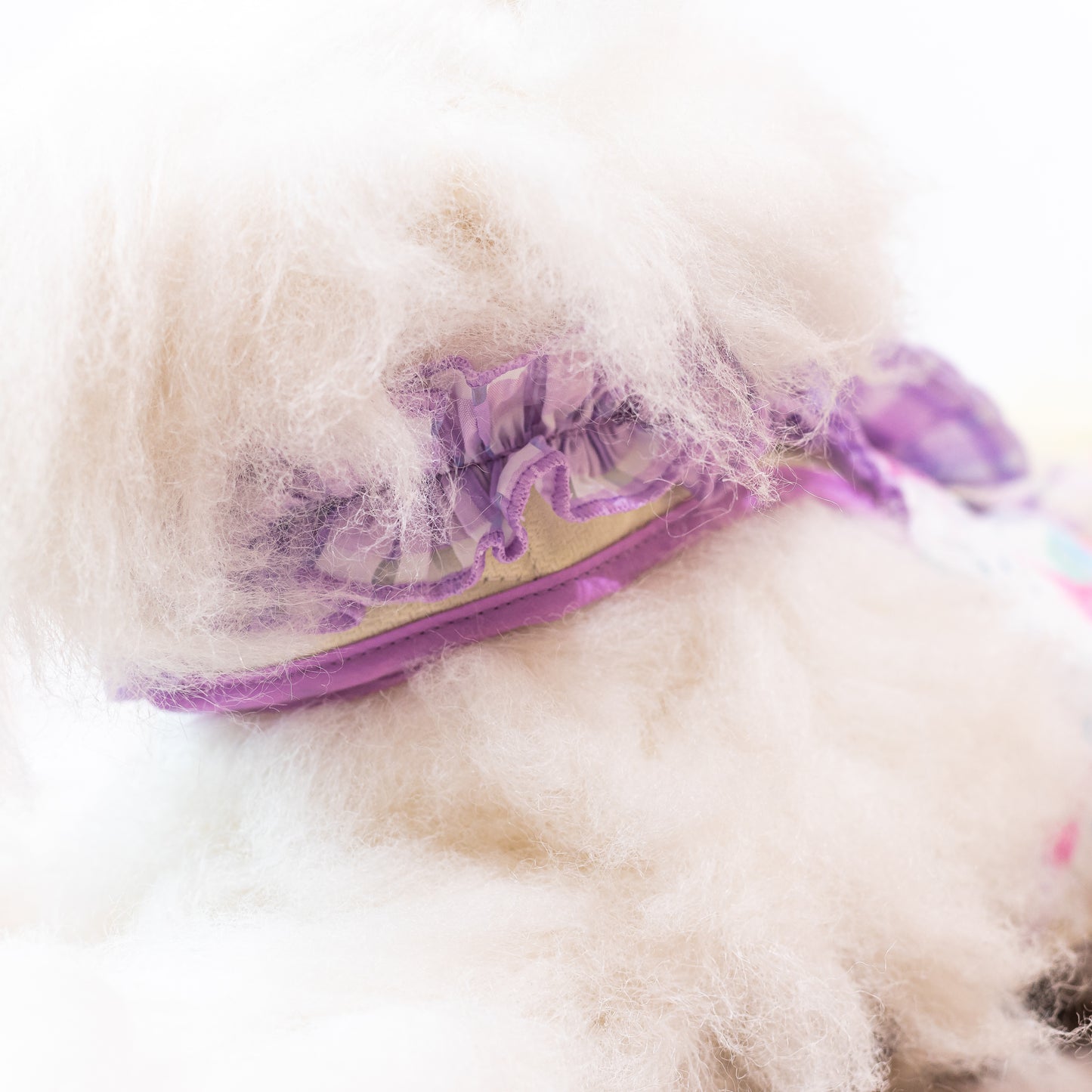 Glitter Pooch Harness ชุดรัดอก สายจูง เสื้อผ้า สุนัข, หมา, แมว, สัตว์เลี้ยง พร้อม สายจูง รุ่น Ballerina Viola