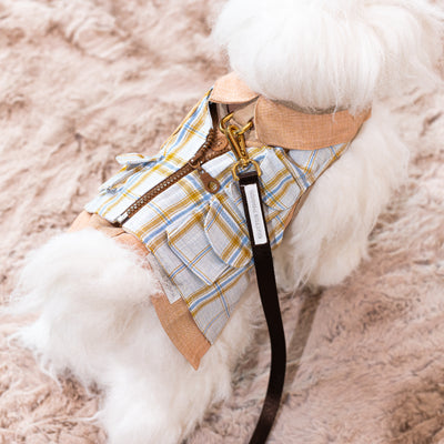 Glitter Pooch Harness ชุดรัดอก สายจูง เสื้อผ้า สุนัข, หมา, แมว, สัตว์เลี้ยง พร้อม สายจูง รุ่น Lilium Wanderlust