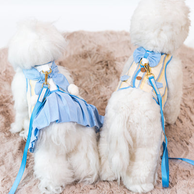 Glitter Pooch Harness ชุดรัดอก สายจูง เสื้อผ้า สุนัข, หมา, แมว, สัตว์เลี้ยง พร้อม สายจูง รุ่น Abel, The Boss Baby