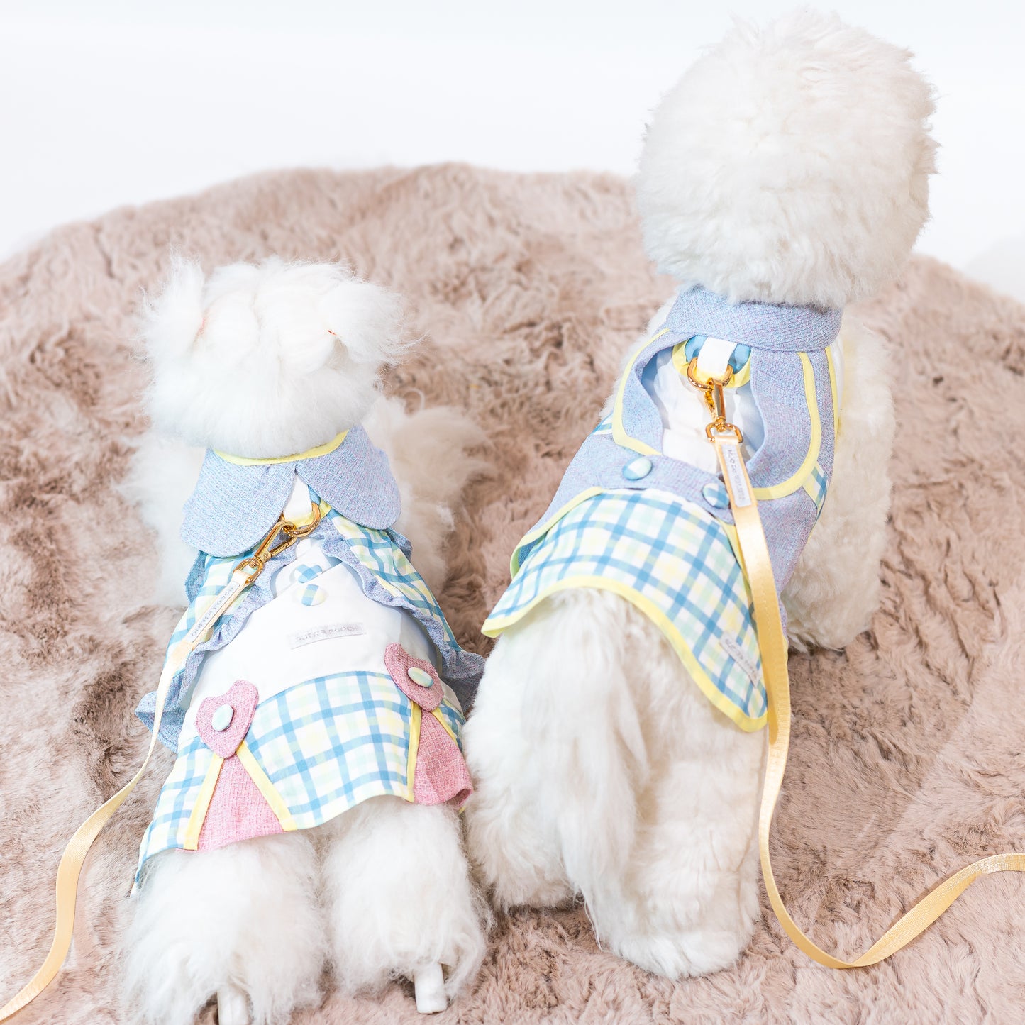 Glitter Pooch Harness ชุดรัดอก สายจูง เสื้อผ้า สุนัข, หมา, แมว, สัตว์เลี้ยง พร้อม สายจูง รุ่น Periwinkle J_adore