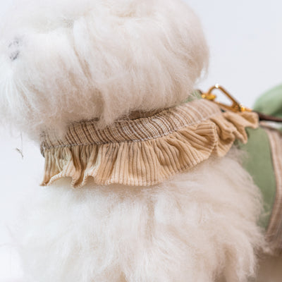 Glitter Pooch Harness ชุดรัดอก สายจูง เสื้อผ้า สุนัข, หมา, แมว, สัตว์เลี้ยง พร้อม สายจูง รุ่น Buttercup Cookies