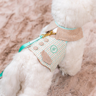 Glitter Pooch Harness ชุดรัดอก สายจูง เสื้อผ้า สุนัข, หมา, แมว, สัตว์เลี้ยง พร้อม สายจูง รุ่น Mint-Choc Gelato Homme