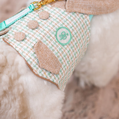 Glitter Pooch Harness ชุดรัดอก สายจูง เสื้อผ้า สุนัข, หมา, แมว, สัตว์เลี้ยง พร้อม สายจูง รุ่น Mint-Choc Gelato Homme