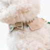 Glitter Pooch Harness ชุดรัดอก สายจูง เสื้อผ้า สุนัข, หมา, แมว, สัตว์เลี้ยง พร้อม สายจูง รุ่น Mint-Choc Gelato Homme