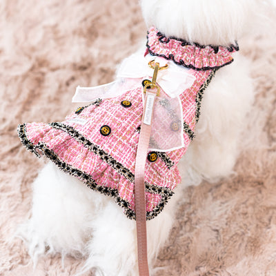 Glitter Pooch Harness ชุดรัดอก สายจูง เสื้อผ้า สุนัข, หมา, แมว, สัตว์เลี้ยง พร้อม สายจูง รุ่น New Emily in Paris - Blackpink