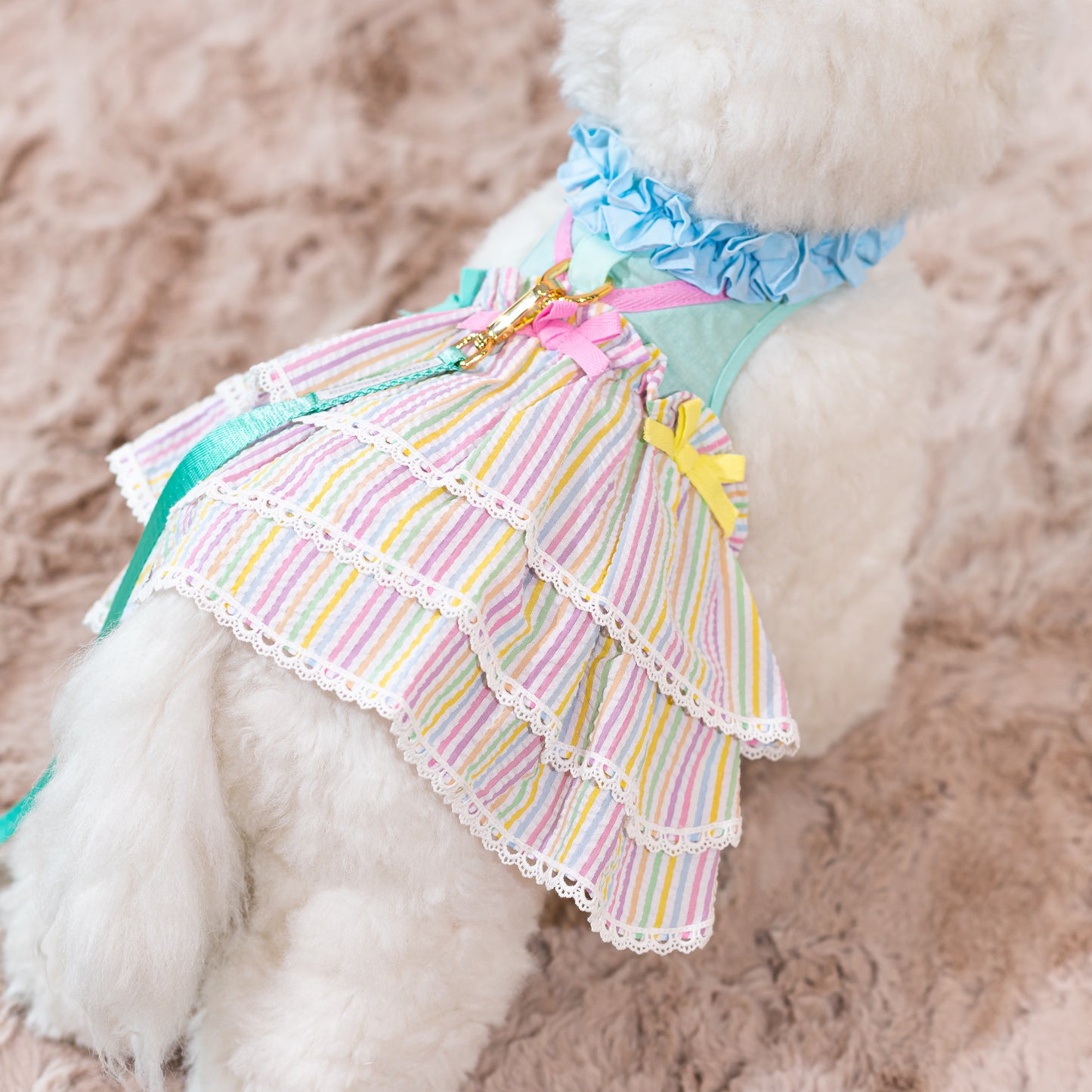 Glitter Pooch Harness ชุดรัดอก สายจูง เสื้อผ้า สุนัข, หมา, แมว, สัตว์เลี้ยง พร้อม สายจูง รุ่น Flurry Freya
