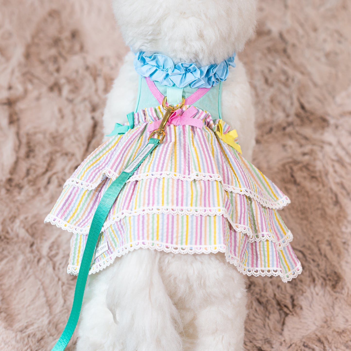 Glitter Pooch Harness ชุดรัดอก สายจูง เสื้อผ้า สุนัข, หมา, แมว, สัตว์เลี้ยง พร้อม สายจูง รุ่น Flurry Freya