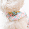 Glitter Pooch Harness ชุดรัดอก สายจูง เสื้อผ้า สุนัข, หมา, แมว, สัตว์เลี้ยง พร้อม สายจูง รุ่น Twinkie Belle Ribbon - Aqua