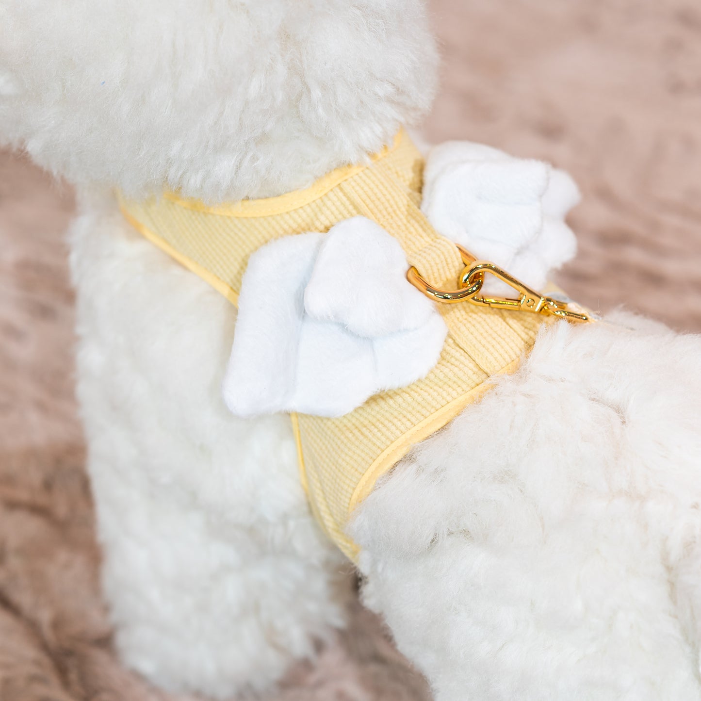 Glitter Pooch Harness ชุดรัดอก สายจูง เสื้อผ้า สุนัข, หมา, แมว, สัตว์เลี้ยง พร้อม สายจูง รุ่น Butter Duo Wings
