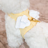 Glitter Pooch Harness ชุดรัดอก สายจูง เสื้อผ้า สุนัข, หมา, แมว, สัตว์เลี้ยง พร้อม สายจูง รุ่น Butter Duo Wings