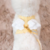 Glitter Pooch Harness ชุดรัดอก สายจูง เสื้อผ้า สุนัข, หมา, แมว, สัตว์เลี้ยง พร้อม สายจูง รุ่น Butter Duo Wings