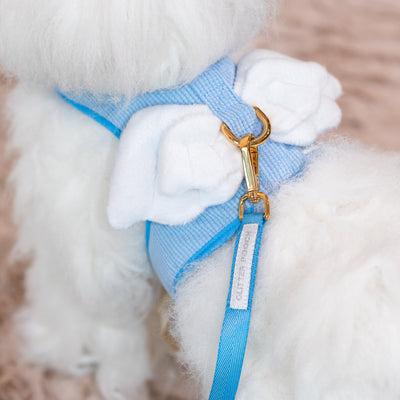 Glitter Pooch Harness ชุดรัดอก สายจูง เสื้อผ้า สุนัข, หมา, แมว, สัตว์เลี้ยง พร้อม สายจูง รุ่น Melody Duo Wings