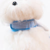 Glitter Pooch Harness ชุดรัดอก สายจูง เสื้อผ้า สุนัข, หมา, แมว, สัตว์เลี้ยง พร้อม สายจูง รุ่น Melody Duo Wings