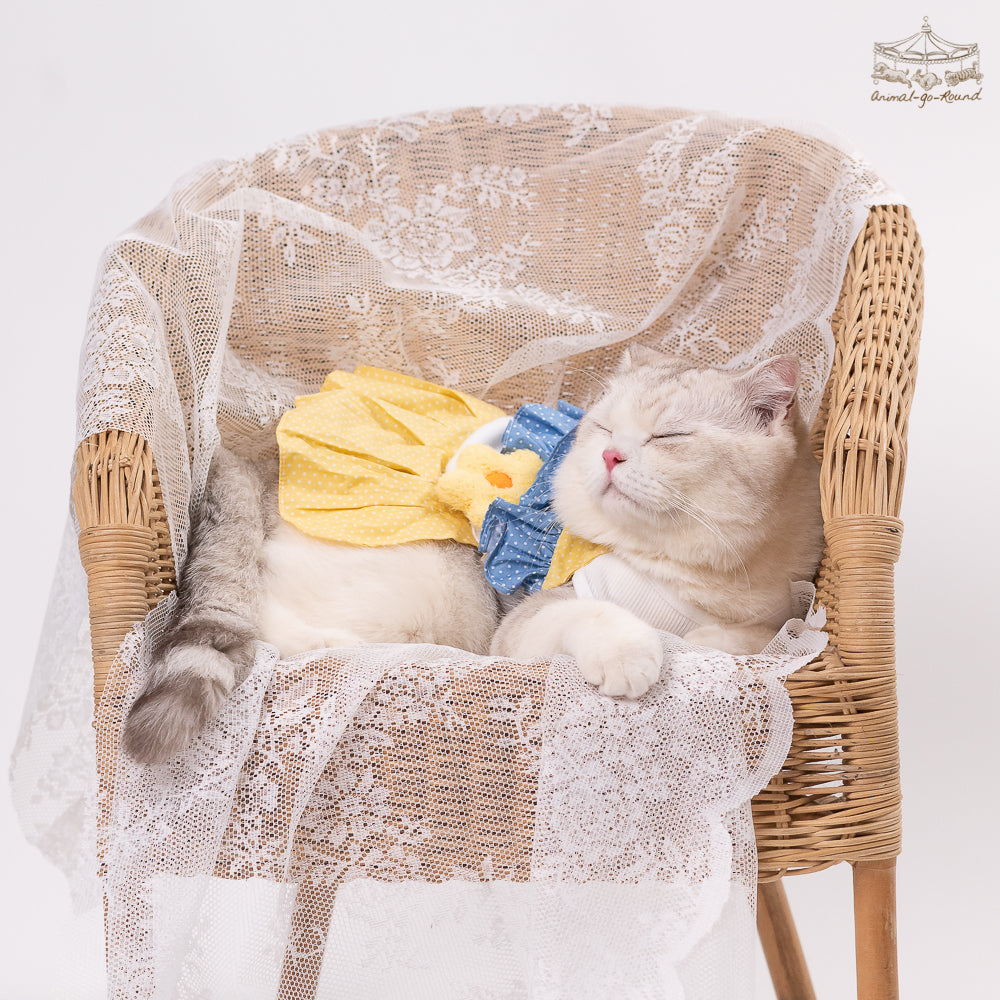 Animal-Go-Round เสื้อผ้าเครื่องแต่งกาย สัตว์เลี้ยง, หมา, แมว, สุนัข รุ่น LadyLola
