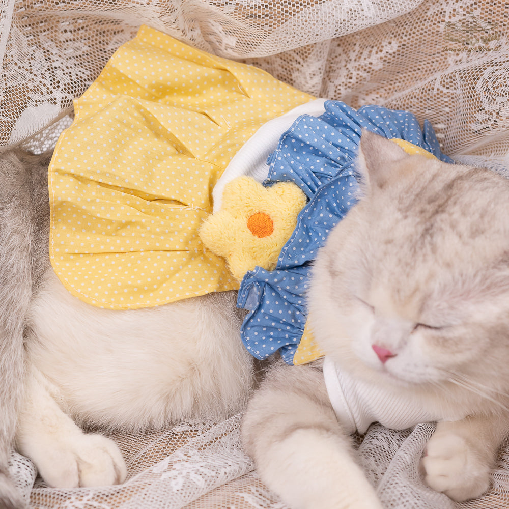 Animal-Go-Round เสื้อผ้าเครื่องแต่งกาย สัตว์เลี้ยง, หมา, แมว, สุนัข รุ่น LadyLola