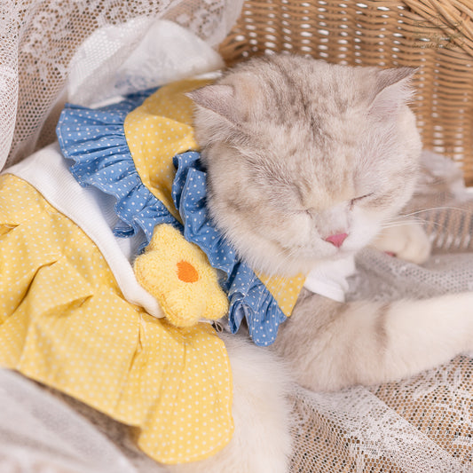 Animal-Go-Round เสื้อผ้าเครื่องแต่งกาย สัตว์เลี้ยง, หมา, แมว, สุนัข รุ่น LadyLola