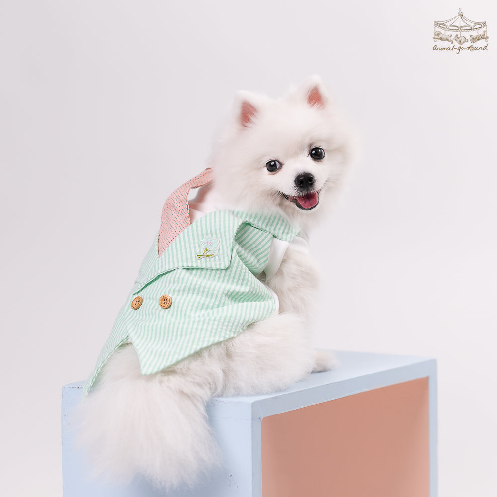 Animal-Go-Round เสื้อผ้าเครื่องแต่งกาย สัตว์เลี้ยง, หมา, แมว, สุนัข รุ่น Prince Bonnie