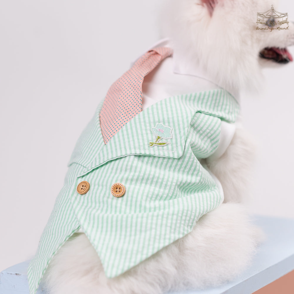 Animal-Go-Round เสื้อผ้าเครื่องแต่งกาย สัตว์เลี้ยง, หมา, แมว, สุนัข รุ่น Prince Bonnie