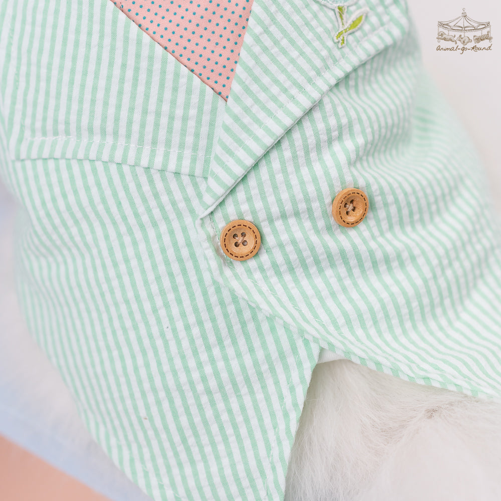 Animal-Go-Round เสื้อผ้าเครื่องแต่งกาย สัตว์เลี้ยง, หมา, แมว, สุนัข รุ่น Prince Bonnie