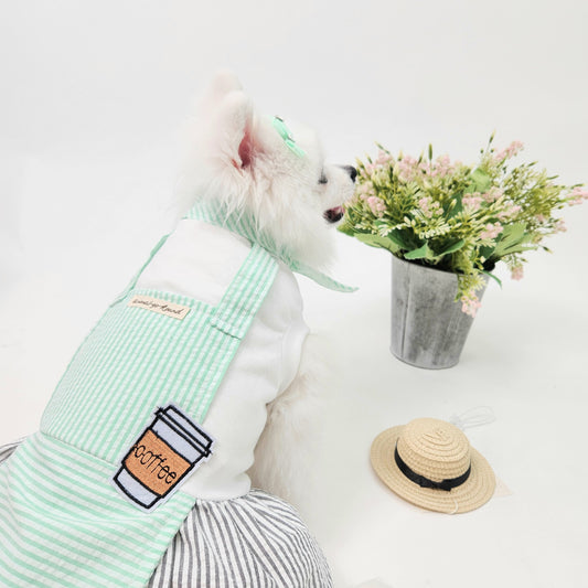 Animal-Go-Round เสื้อผ้าเครื่องแต่งกาย สัตว์เลี้ยง, หมา, แมว, สุนัข รุ่น Coffee Girly