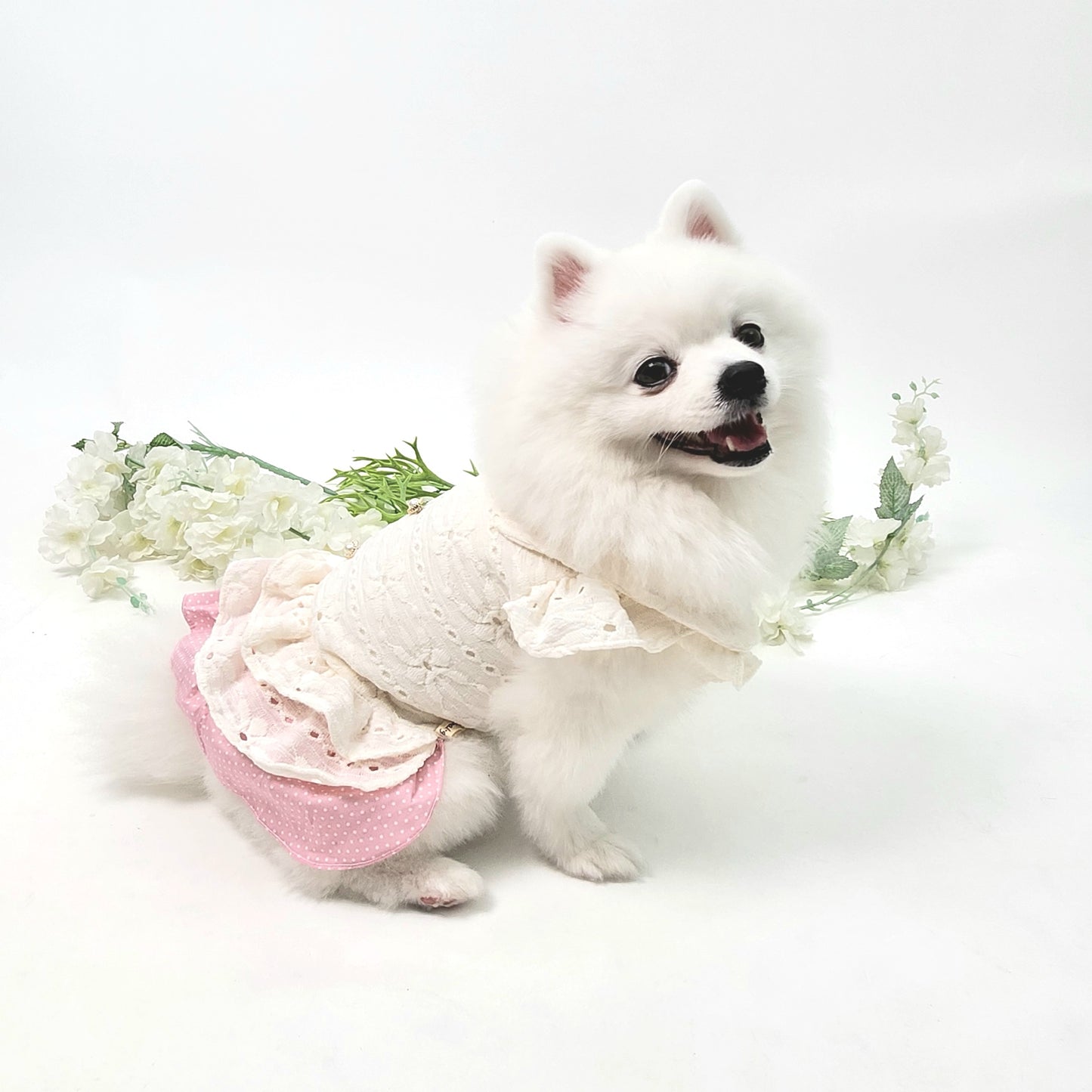 Animal-Go-Round เสื้อผ้าเครื่องแต่งกาย สัตว์เลี้ยง, หมา, แมว, สุนัข รุ่น Sheila Lady
