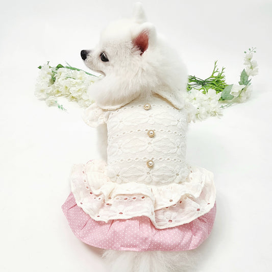 Animal-Go-Round เสื้อผ้าเครื่องแต่งกาย สัตว์เลี้ยง, หมา, แมว, สุนัข รุ่น Sheila Lady