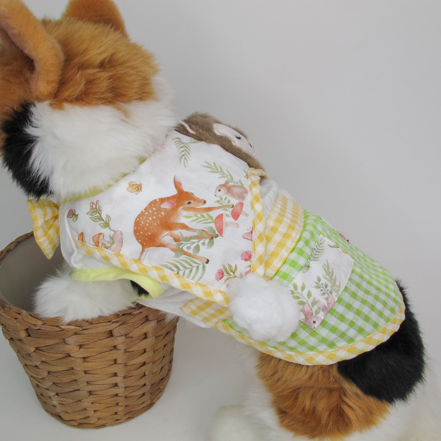 Animal-Go-Round เสื้อผ้าเครื่องแต่งกาย สัตว์เลี้ยง, หมา, แมว, สุนัข รุ่น Little Forest Tales - Boy