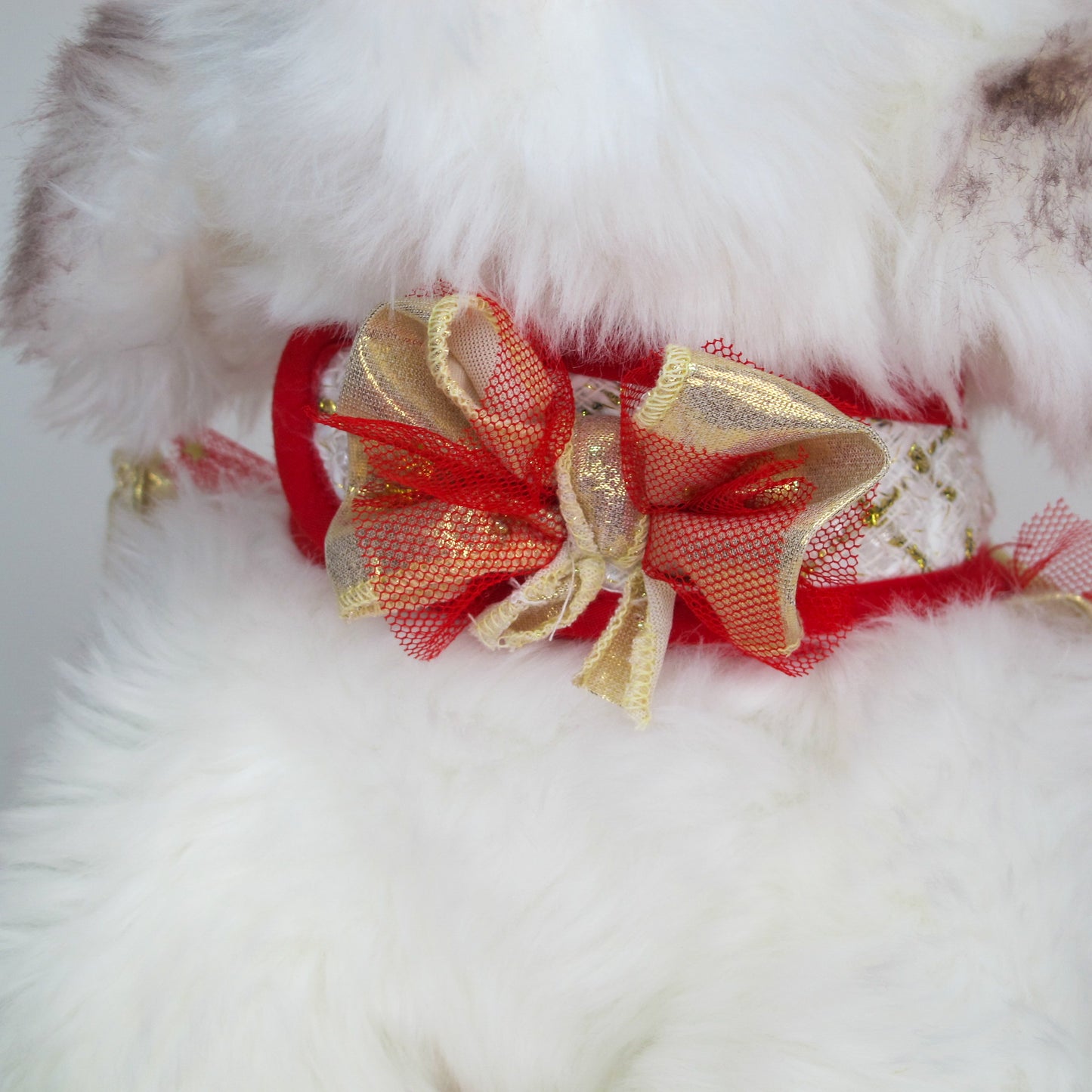 Glitter Pooch Harness ชุดรัดอก สายจูง เสื้อผ้า สุนัข, หมา, แมว, สัตว์เลี้ยง พร้อม สายจูง รุ่น Santy Letty Queen