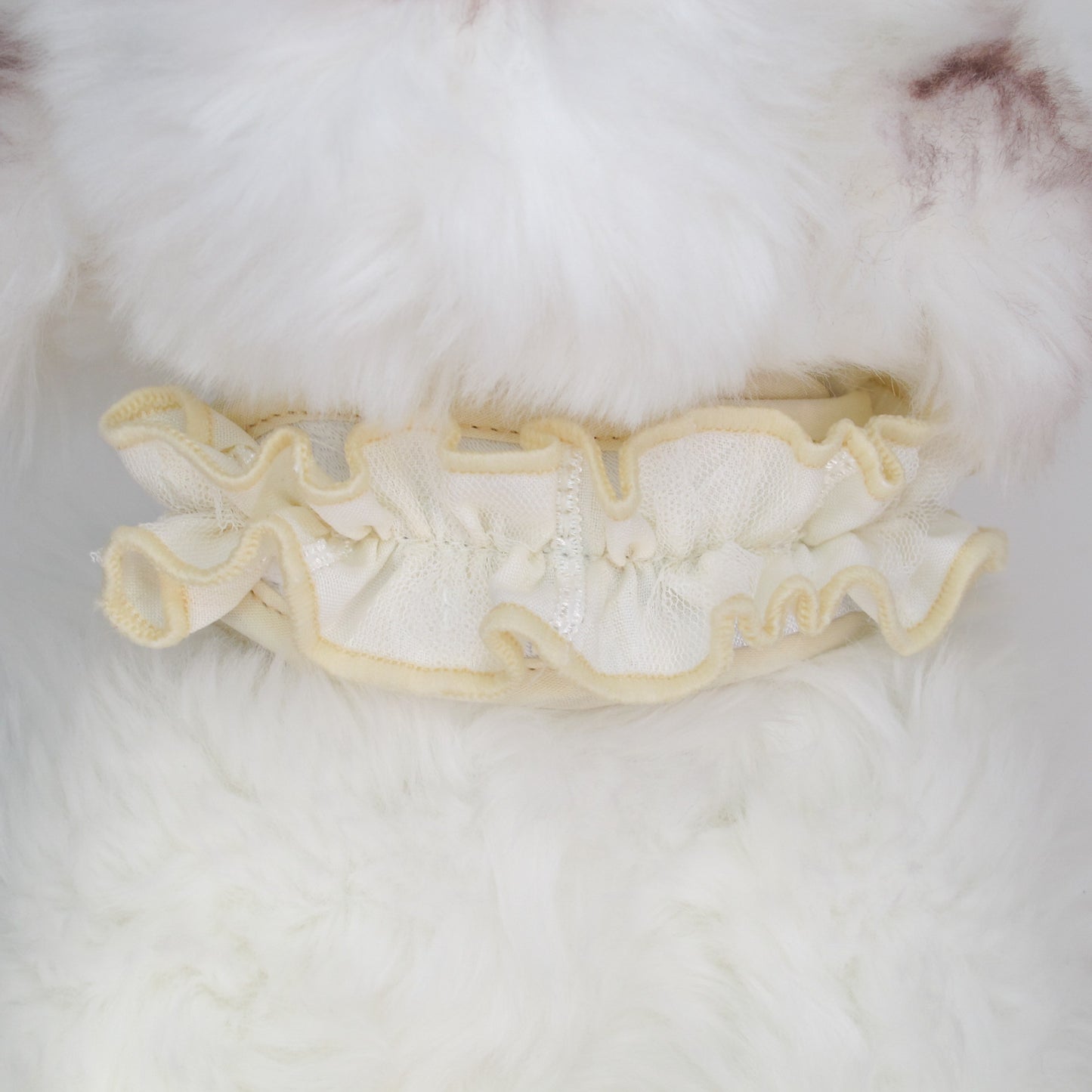 Glitter Pooch Harness ชุดรัดอก สายจูง เสื้อผ้า สุนัข, หมา, แมว, สัตว์เลี้ยง พร้อม สายจูง รุ่น Spring Souffle-Vanilla