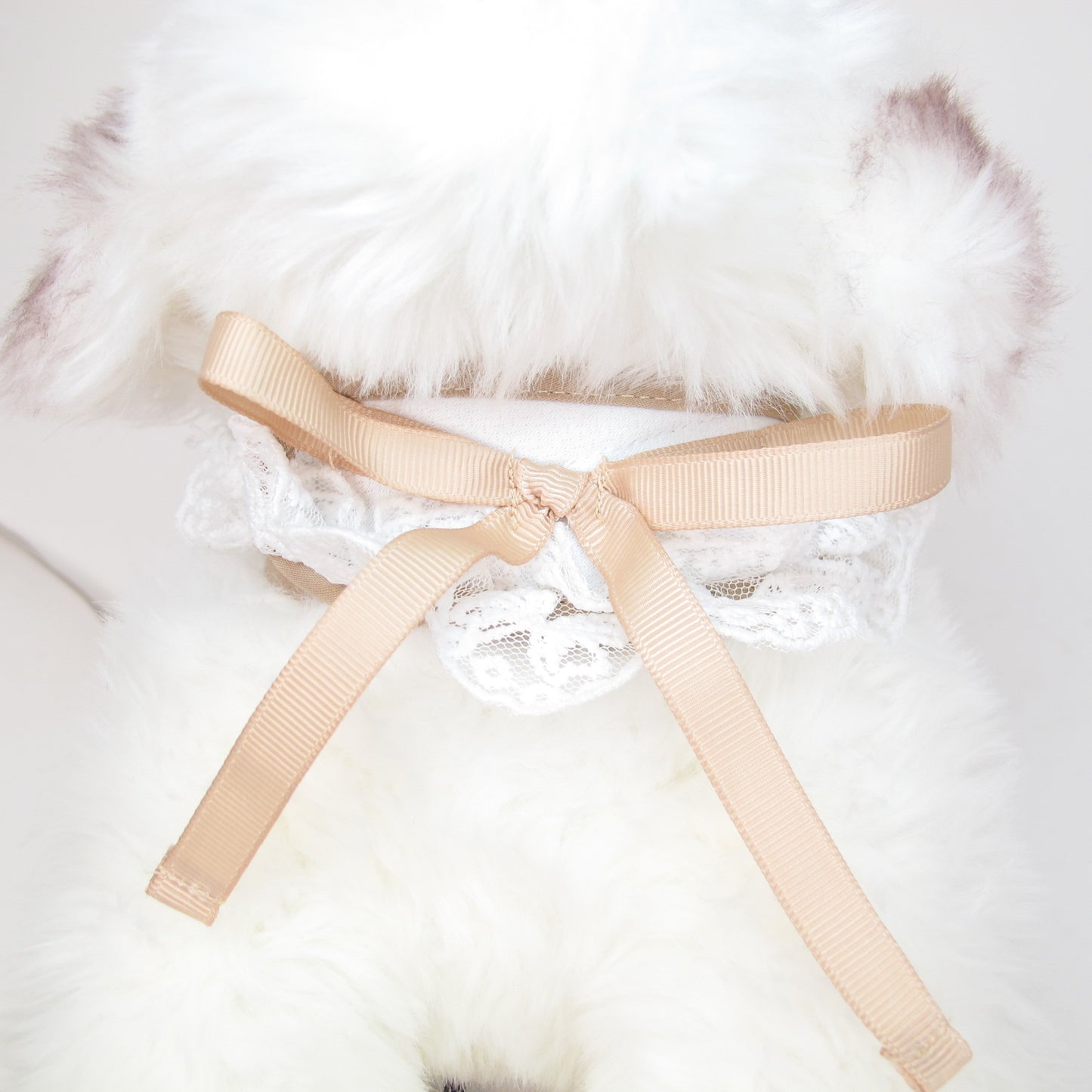 Glitter Pooch Harness ชุดรัดอก สายจูง เสื้อผ้า สุนัข, หมา, แมว, สัตว์เลี้ยง พร้อม สายจูง รุ่น Crème Brûlée