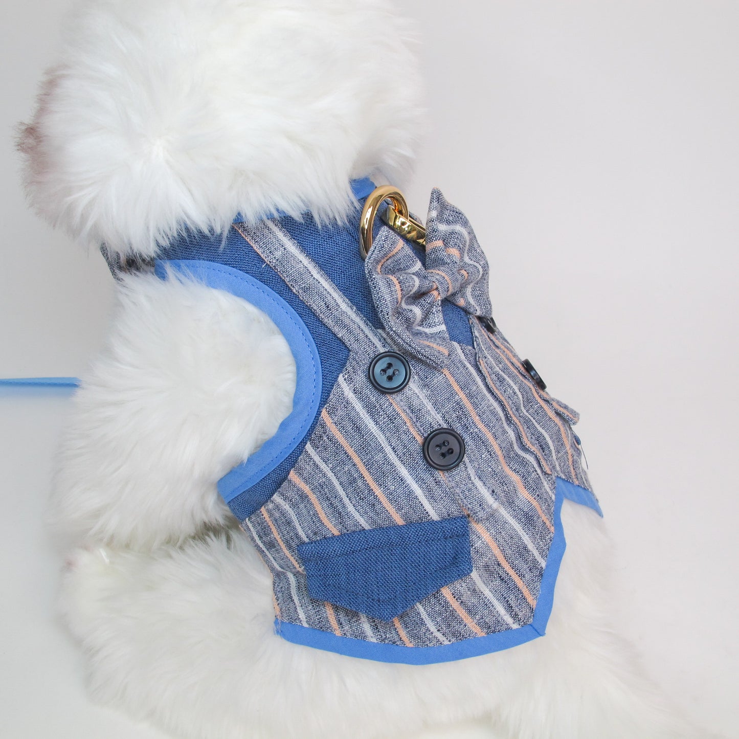 Glitter Pooch Harness ชุดรัดอก สายจูง เสื้อผ้า สุนัข, หมา, แมว, สัตว์เลี้ยง พร้อม สายจูง รุ่น Earl Navy