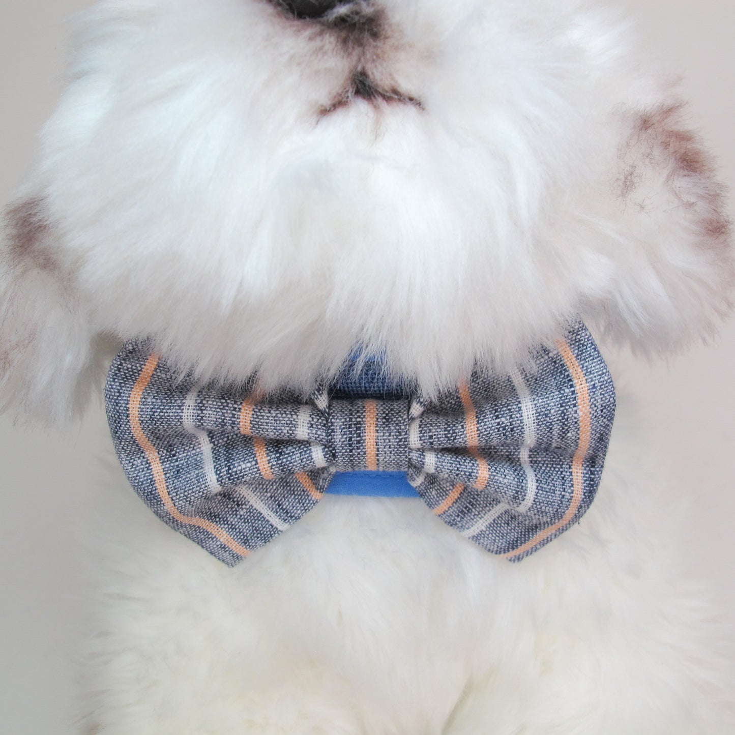 Glitter Pooch Harness ชุดรัดอก สายจูง เสื้อผ้า สุนัข, หมา, แมว, สัตว์เลี้ยง พร้อม สายจูง รุ่น Earl Navy