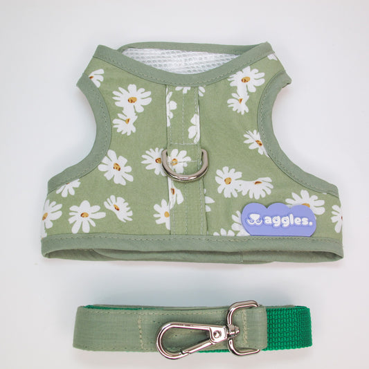 WG1076-Waggles เสื้อผ้า ชุดรัดอก สายจูง สุนัข, หมา, แมว, สัตว์เลี้ยง ขนาดเล็ก - ขนาดกลาง พร้อม สายจูง