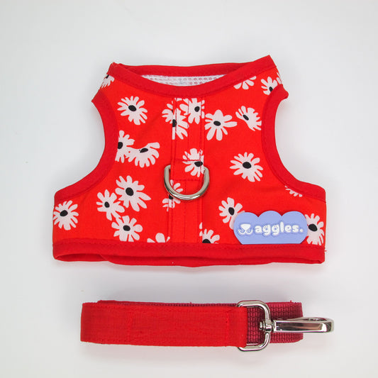 WG1077-Waggles เสื้อผ้า ชุดรัดอก สายจูง สุนัข, หมา, แมว, สัตว์เลี้ยง ขนาดเล็ก - ขนาดกลาง พร้อม สายจูง