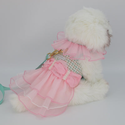 Glitter Pooch Harness ชุดรัดอก สายจูง เสื้อผ้า สุนัข, หมา, แมว, สัตว์เลี้ยง พร้อม สายจูง รุ่น Sugary Lady Charlotte