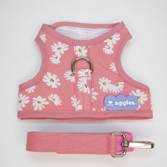 WG1075-Waggles เสื้อผ้า ชุดรัดอก สายจูง สุนัข, หมา, แมว, สัตว์เลี้ยง ขนาดเล็ก - ขนาดกลาง พร้อม สายจูง