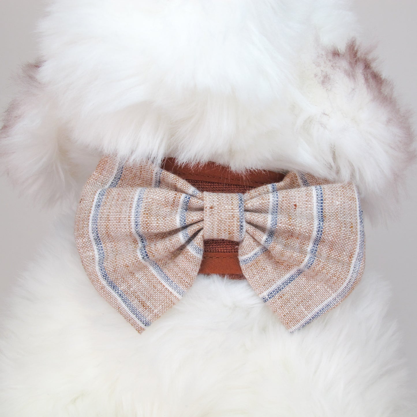 Glitter Pooch Harness ชุดรัดอก สายจูง เสื้อผ้า สุนัข, หมา, แมว, สัตว์เลี้ยง พร้อม สายจูง รุ่น Chestnut Blazer