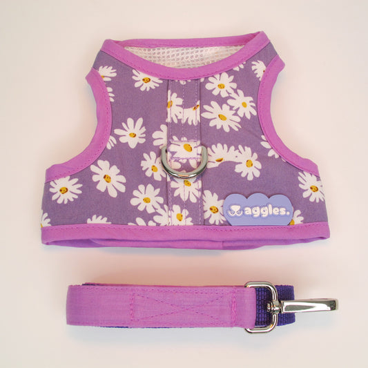 WG1074-Waggles เสื้อผ้า ชุดรัดอก สายจูง สุนัข, หมา, แมว, สัตว์เลี้ยง ขนาดเล็ก - ขนาดกลาง พร้อม สายจูง