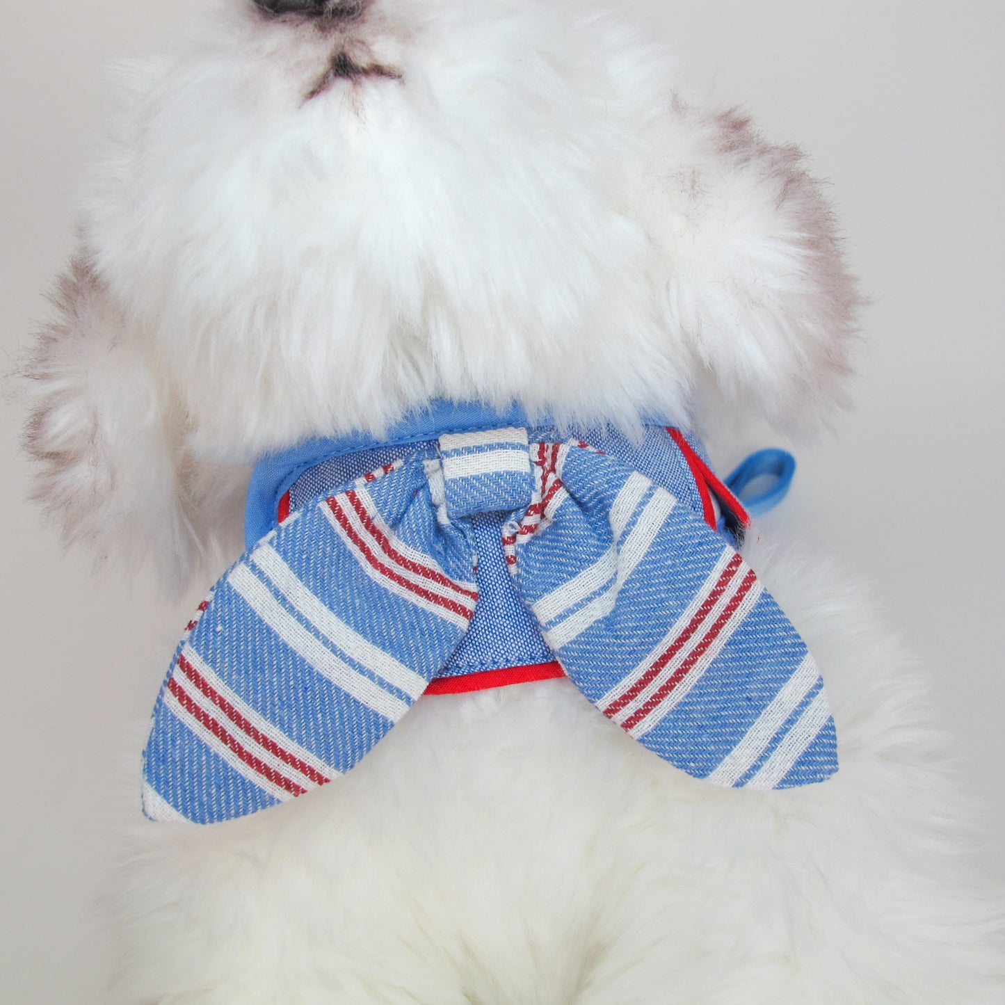 Glitter Pooch Harness ชุดรัดอก สายจูง เสื้อผ้า สุนัข, หมา, แมว, สัตว์เลี้ยง พร้อม สายจูง รุ่น The Countryside Atelier-Boy