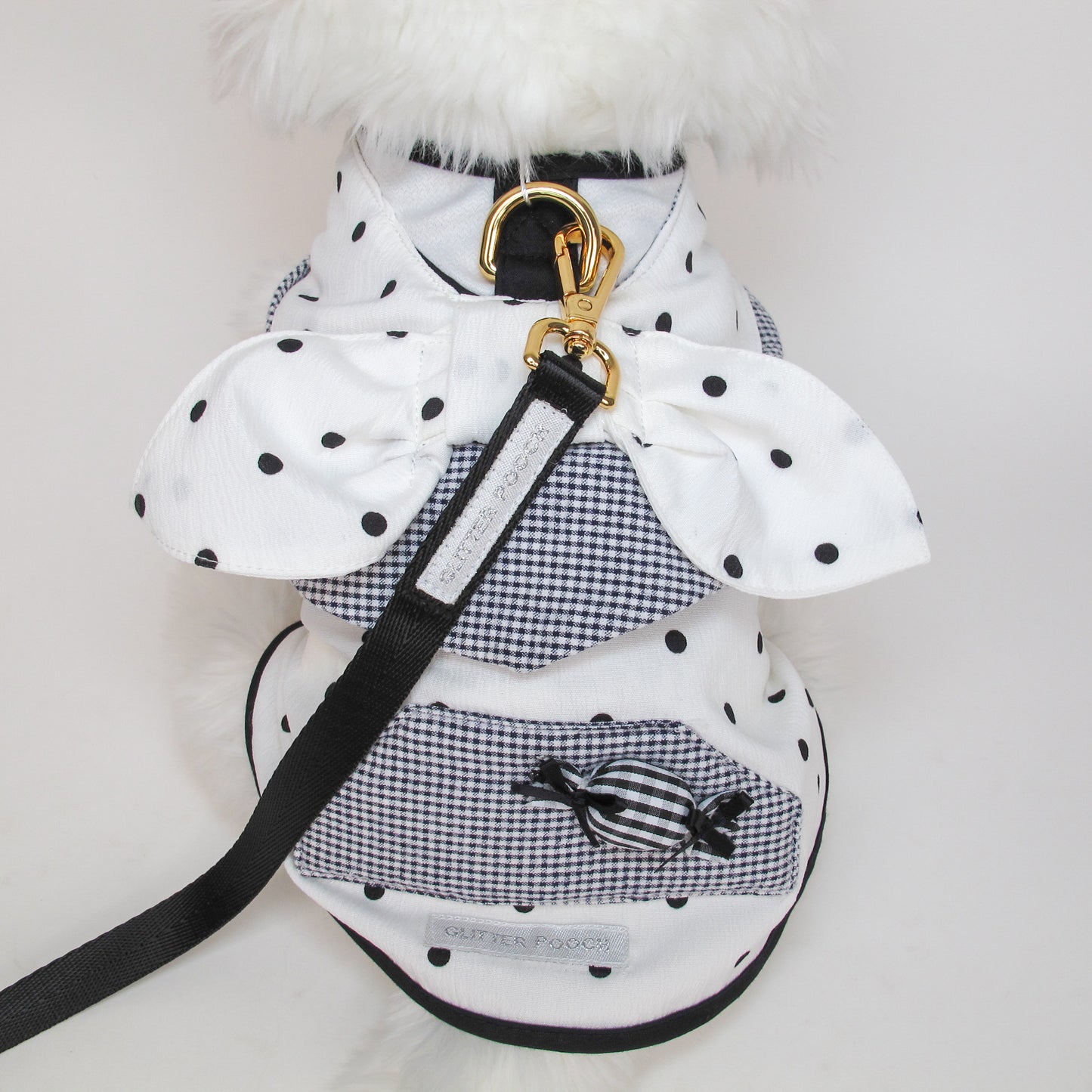 Glitter Pooch Harness ชุดรัดอก สายจูง เสื้อผ้า สุนัข, หมา, แมว, สัตว์เลี้ยง พร้อม สายจูง รุ่น Dot de Mui-Boy