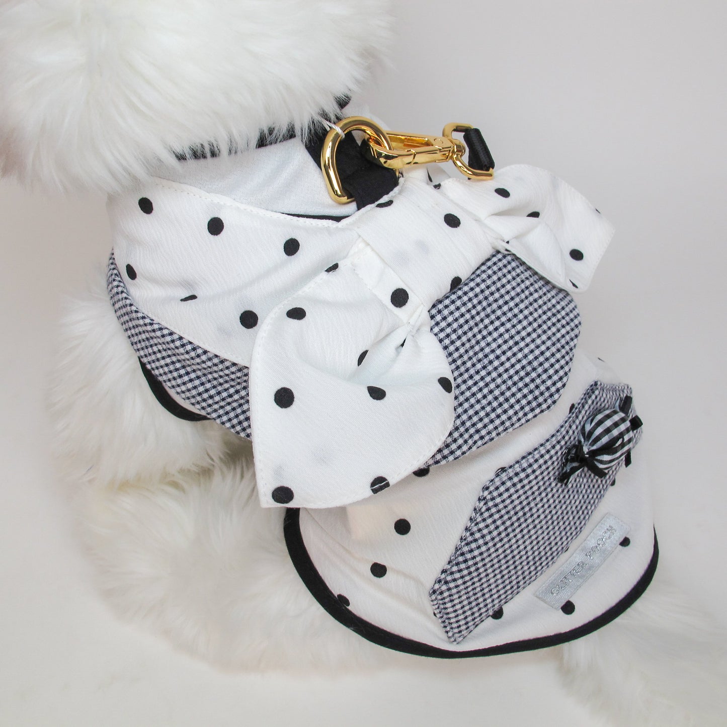 Glitter Pooch Harness ชุดรัดอก สายจูง เสื้อผ้า สุนัข, หมา, แมว, สัตว์เลี้ยง พร้อม สายจูง รุ่น Dot de Mui-Boy
