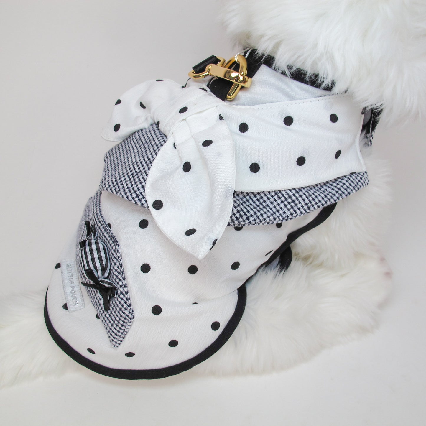 Glitter Pooch Harness ชุดรัดอก สายจูง เสื้อผ้า สุนัข, หมา, แมว, สัตว์เลี้ยง พร้อม สายจูง รุ่น Dot de Mui-Boy